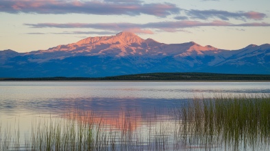 bitter lake national wildlife refuge