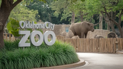 oklahoma city zoo