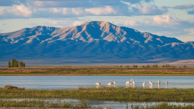 wichita mountains wildlife refuge
